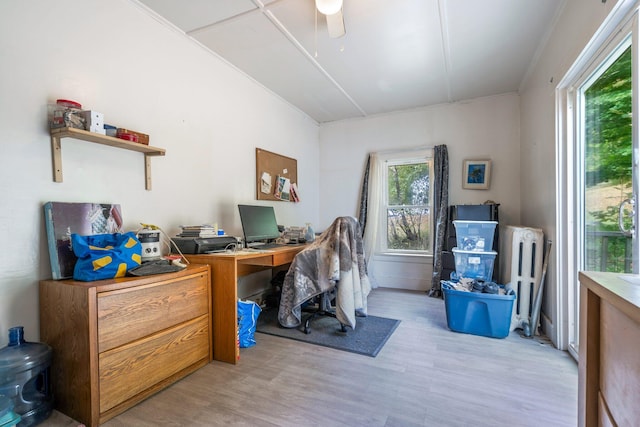 office with light hardwood / wood-style floors, ornamental molding, and ceiling fan