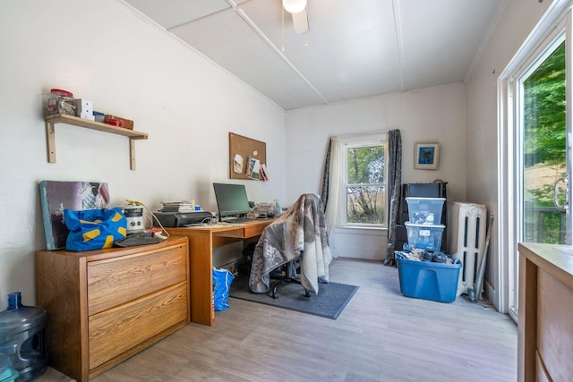 office space featuring radiator, ceiling fan, and light wood-type flooring