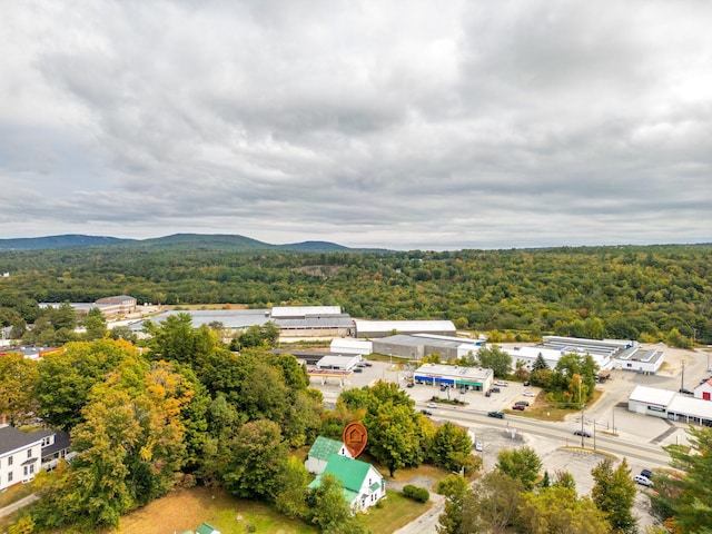 drone / aerial view with a wooded view and a mountain view