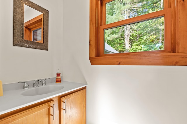 bathroom with vanity