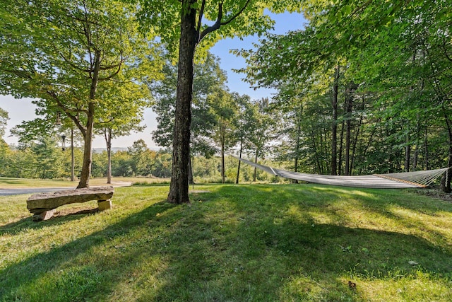 surrounding community featuring a yard