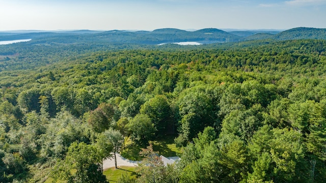 drone / aerial view with a mountain view