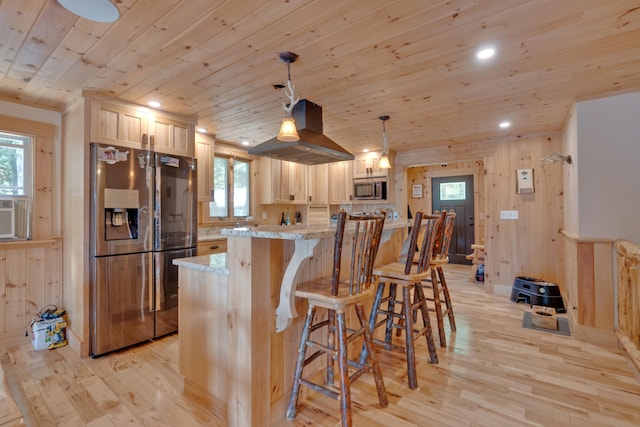 kitchen featuring appliances with stainless steel finishes, a healthy amount of sunlight, light wood-type flooring, and decorative light fixtures