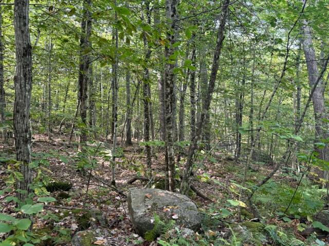 LOT2C Woodard Rd, Augusta, ME 04330