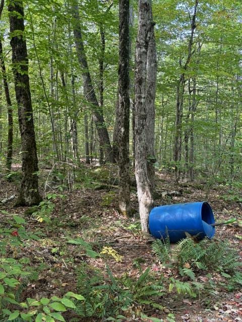 LOT2C Woodard Rd, Augusta, ME 04330