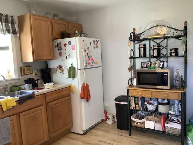 kitchen featuring sink, light hardwood / wood-style flooring, and white refrigerator