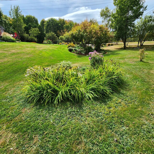 583 Mount Ephraim Rd, Searsport, ME 04974 - photo 12