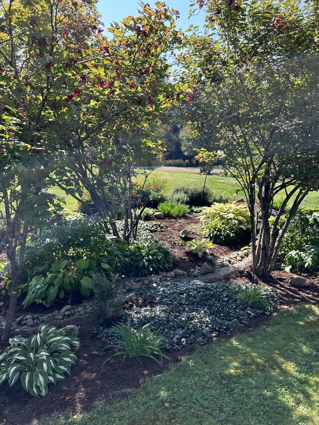 583 Mount Ephraim Rd, Searsport, ME 04974 - photo 22