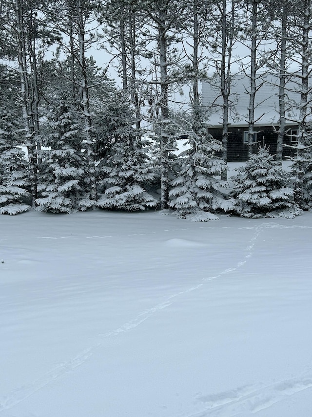 583 Mount Ephraim Rd, Searsport, ME 04974 - photo 71