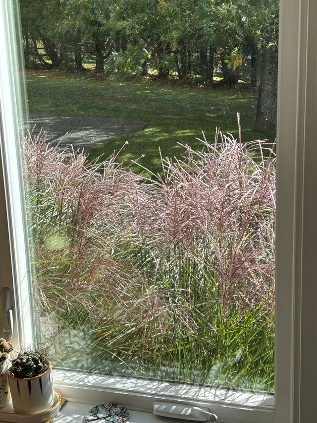 583 Mount Ephraim Rd, Searsport, ME 04974 - photo 72
