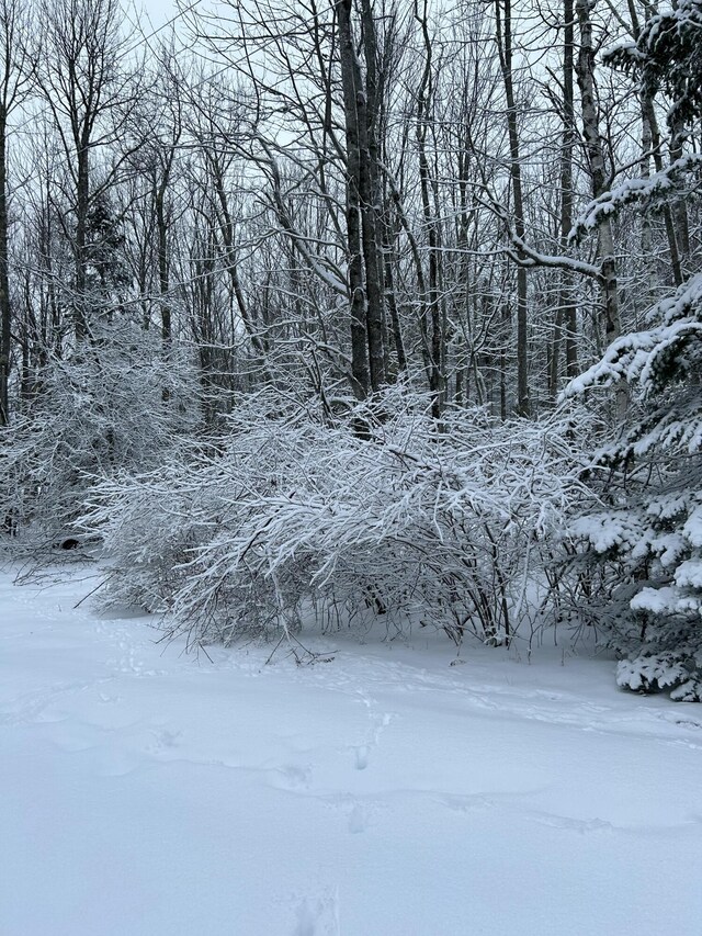 583 Mount Ephraim Rd, Searsport, ME 04974 - photo 80