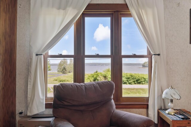 sitting room featuring a healthy amount of sunlight and a water view