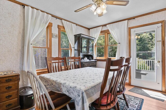 dining area with crown molding, ceiling fan, and light hardwood / wood-style flooring