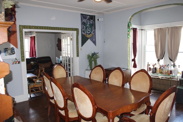 dining area with radiator heating unit, ornamental molding, dark hardwood / wood-style floors, and ceiling fan