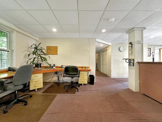 carpeted office featuring a drop ceiling