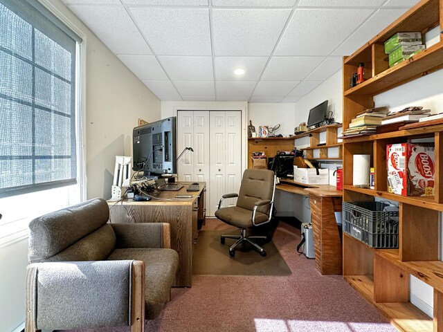 carpeted home office featuring a healthy amount of sunlight and a paneled ceiling