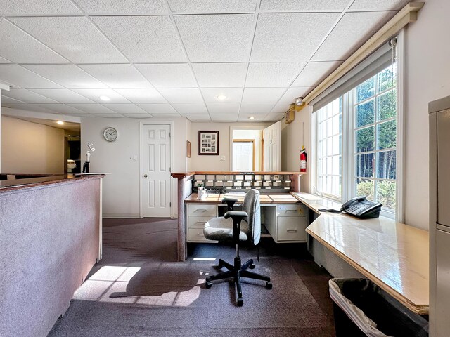 office area featuring a drop ceiling and dark colored carpet