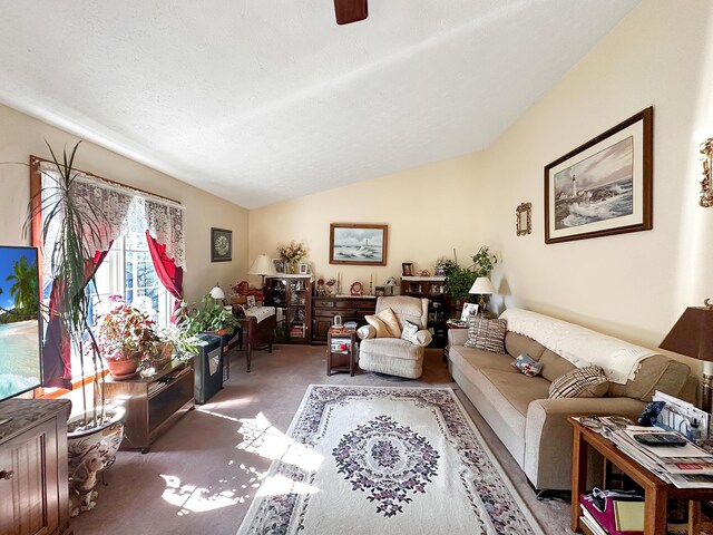 carpeted living room with lofted ceiling and a textured ceiling