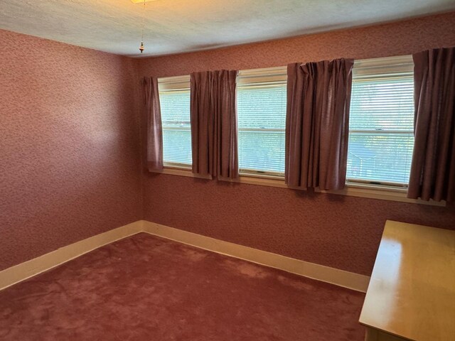 carpeted empty room with a wealth of natural light and a textured ceiling