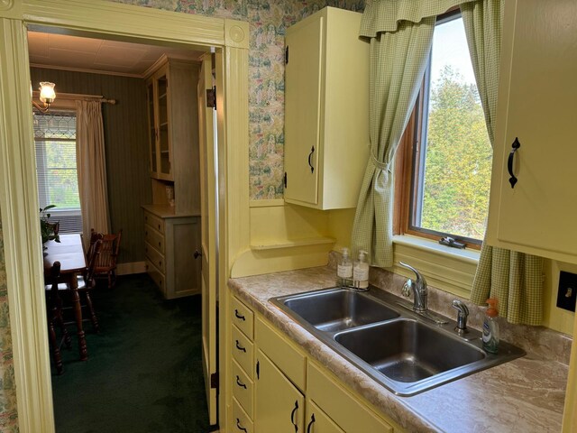 kitchen featuring ornamental molding, dark carpet, sink, and a wealth of natural light