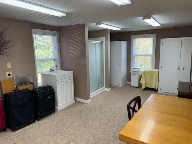 37 Fisher St, Fort Fairfield, ME 04742 - office area featuring a wealth of natural light, baseboards, light carpet, and a sink