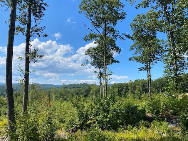 LOT17 Birch Cir, Harrison ME, 04040 land for sale