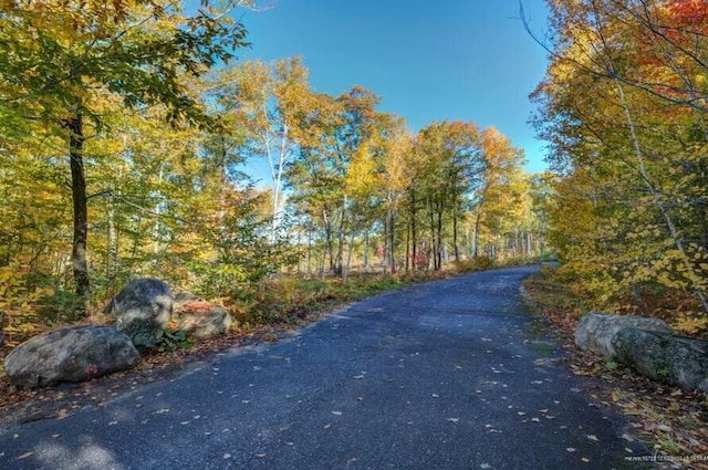 Listing photo 3 for LOT17 Birch Cir, Harrison ME 04040