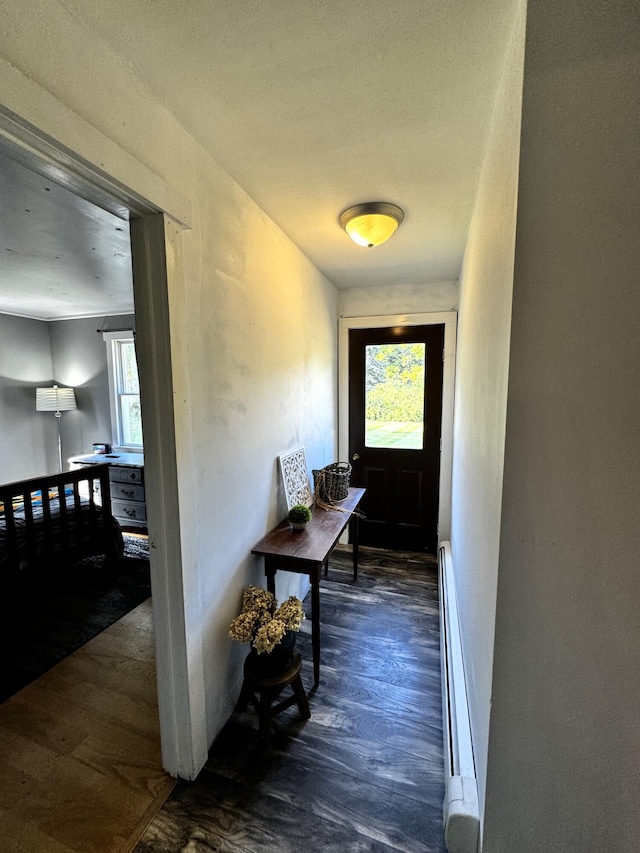 entryway with a baseboard radiator, dark hardwood / wood-style floors, and a wealth of natural light