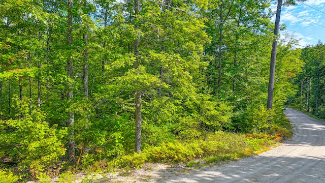 Listing photo 3 for LOT2 N View Dr, Waterford ME 04088