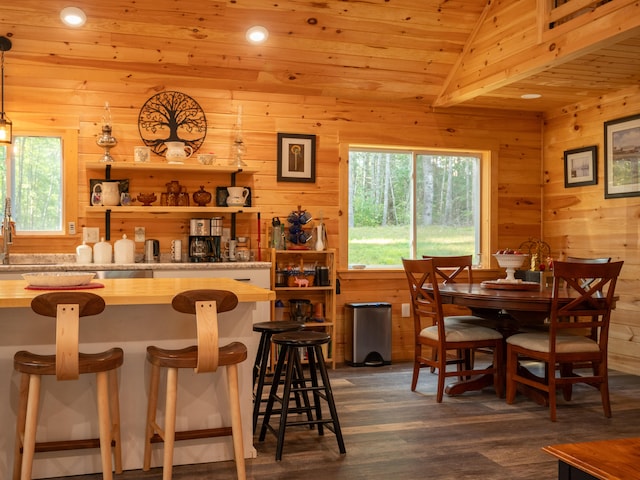 interior space with lofted ceiling, wooden ceiling, dark wood-type flooring, and wooden walls