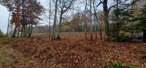 LOT7 Cheri Ln, Northport, ME 04849