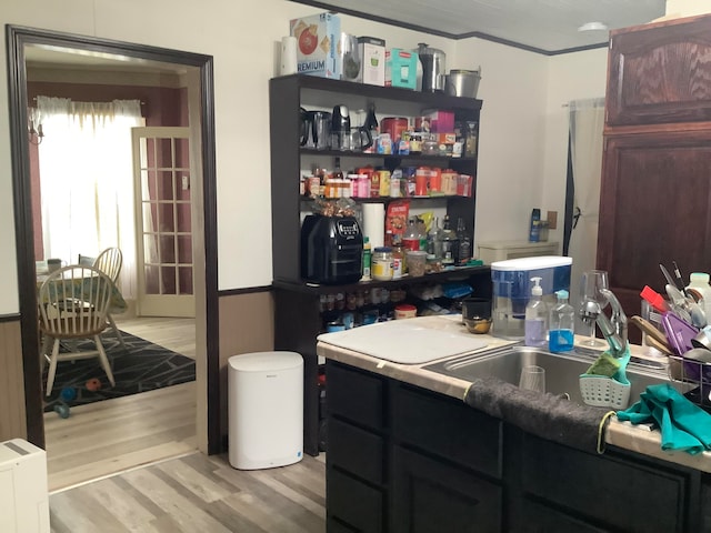 kitchen featuring light wood-type flooring, ornamental molding, and sink