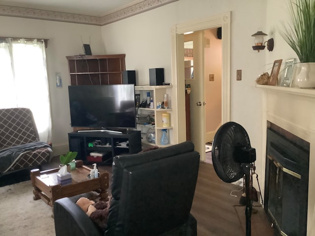 living room featuring dark wood-type flooring