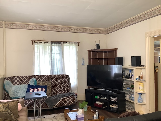 living room with hardwood / wood-style flooring