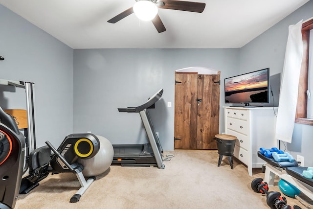 workout area featuring ceiling fan and light carpet