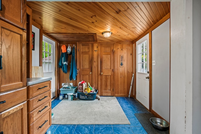 interior space featuring wood ceiling, wooden walls, and plenty of natural light