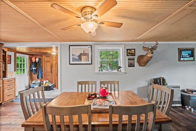 dining area featuring wood ceiling, ceiling fan, plenty of natural light, and dark wood-type flooring