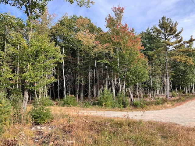 LOT5 Bluff Rd, Bar Harbor ME, 04609 land for sale