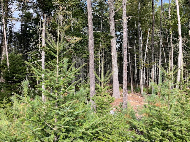 Listing photo 3 for LOT5 Bluff Rd, Bar Harbor ME 04609