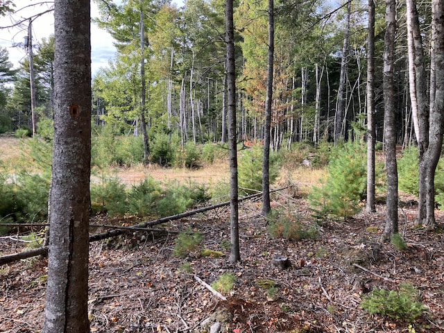 LOT5 Bluff Rd, Bar Harbor, ME 04609
