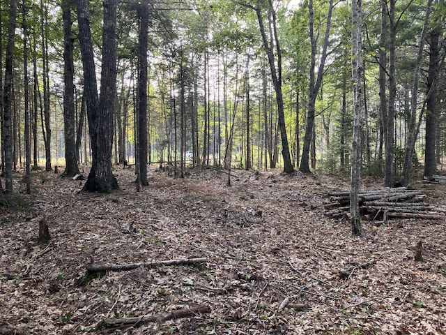 LOT5 Bluff Rd, Bar Harbor, ME 04609
