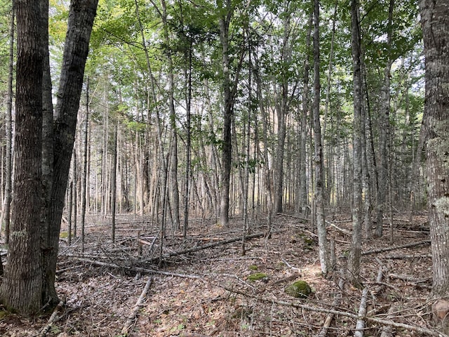 LOT5 Bluff Rd, Bar Harbor, ME 04609