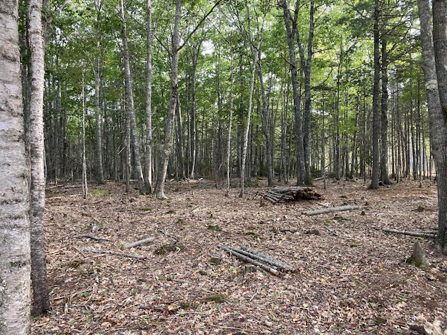 LOT5 Bluff Rd, Bar Harbor, ME 04609