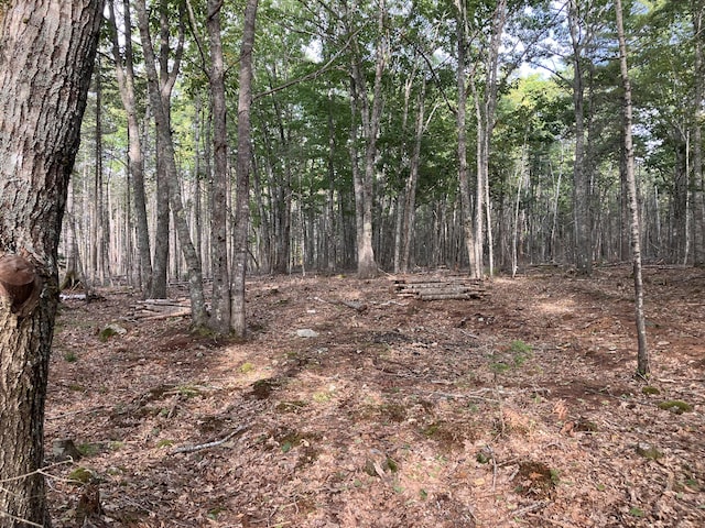 LOT5 Bluff Rd, Bar Harbor, ME 04609