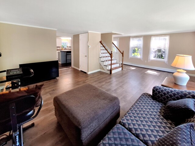 living room with a baseboard radiator, dark hardwood / wood-style floors, and crown molding