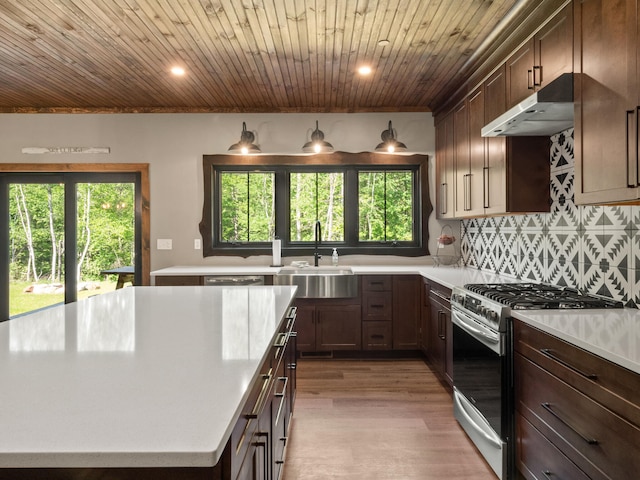 kitchen with gas stove, a healthy amount of sunlight, light hardwood / wood-style floors, and sink