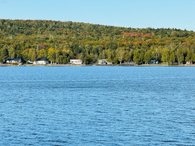 property view of water