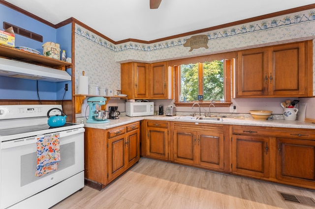 kitchen featuring sink, white appliances, exhaust hood, crown molding, and ceiling fan