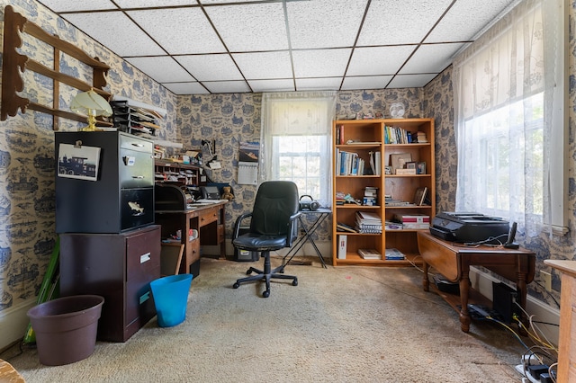 office area featuring carpet and a drop ceiling