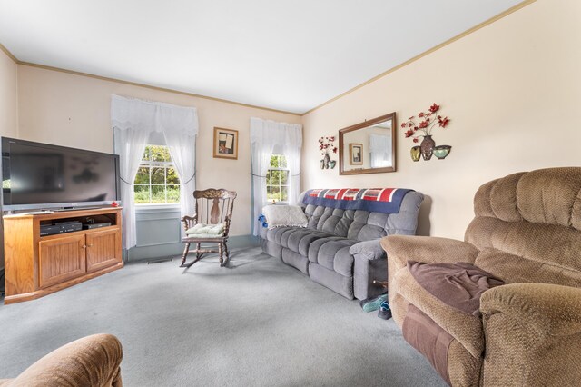 carpeted living room featuring ornamental molding